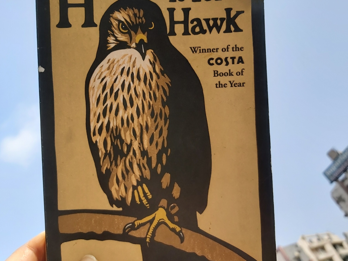 H is for Hawk: Finding meaning in grief